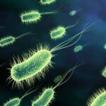 Estudo mostra que 750 mil mortes por bactérias resistentes a antibióticos poderiam ser evitadas