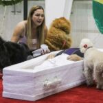Velório de Nahim na Alesp tem caixão no chão para cães se despedirem