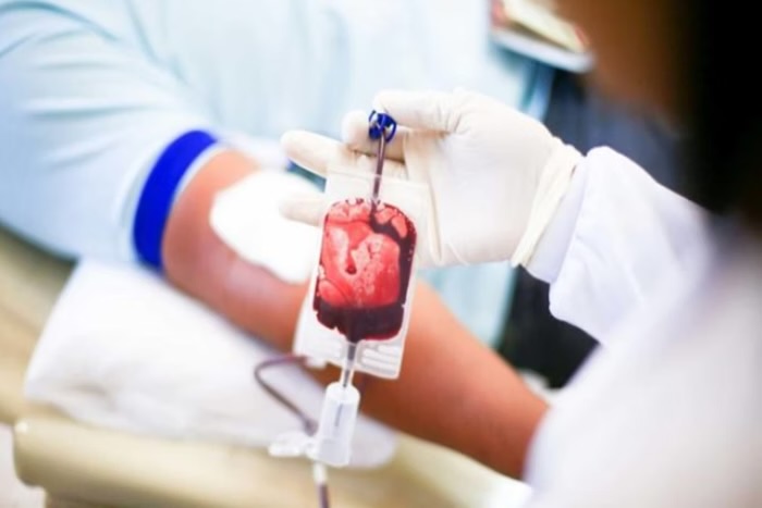 Dia Mundial do Doador de Sangue: confira 5 razões para fazer a doação