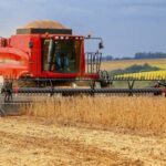 IBGE estima queda de quase 6% na safra agrícola brasileira