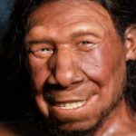 Cientistas brasileiros planejam recriar vírus neandertais em laboratório