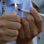 Quantidade de maconha vai diferenciar uso pessoal e tráfico