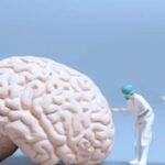 Estudo revela técnica para prevenir o Alzheimer fazendo uma ‘higienização’ no cérebro; entenda