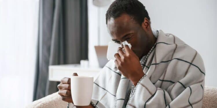 Conheça o melhor chá para combate à gripe e outros benefícios no organismo