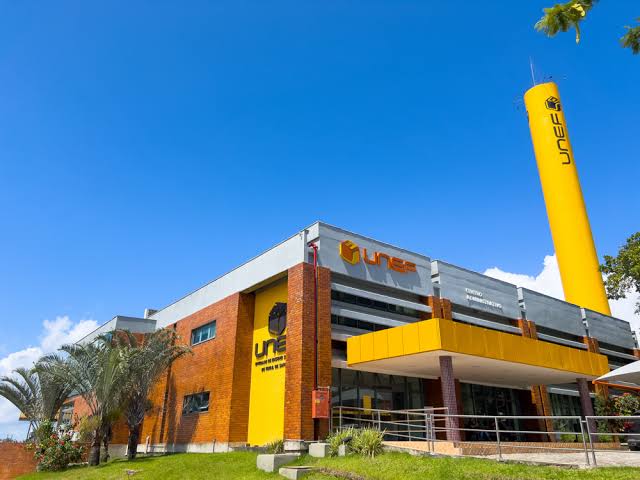 Descoberta surpreendente: Pesquisa da UNEF revela rara presença de 40 ossos Wormianos em um único crânio