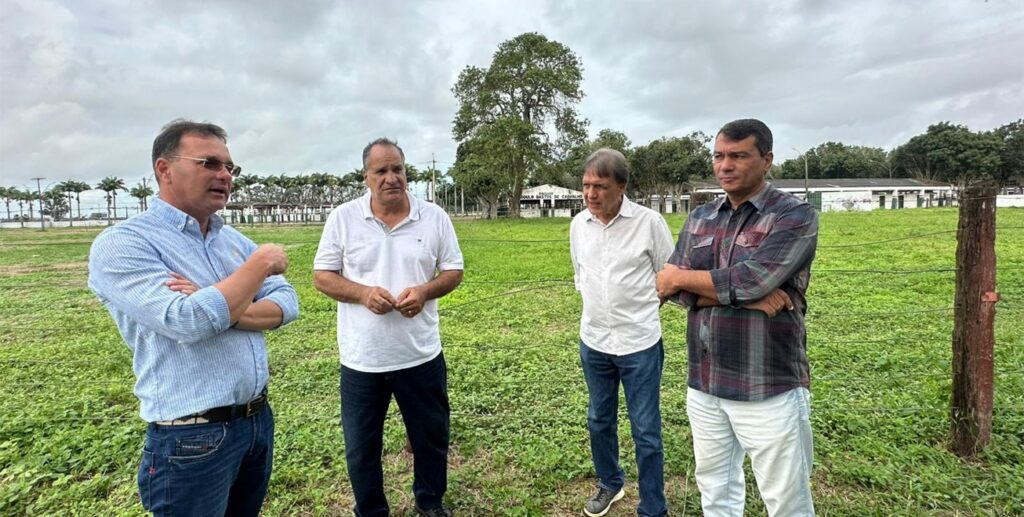 Revitalização do Parque João Martins da Silva em ritmo acelerado para a Expofeira