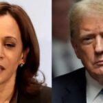 Kamala Harris x Donald Trump: veja o que mostram as pesquisas para a disputa presidencial de 2024