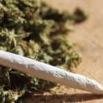 Este estado vai na contramão do STF e multará quem tiver com maconha