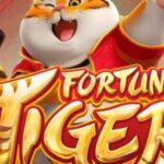 Governo pode liberar ‘Jogo do Tigrinho’ no Brasil e bloquear sites estrangeiros