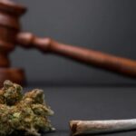 69% dos brasileiros são contra a descriminalização da maconha, revela pesquisa Ipec
