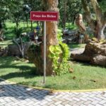 Praça dos Bichos é vandalizada em apenas nove dias de inaugurada