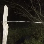 Corpo é encontrado com as mãos amarradas no distrito de Maria Quitéria