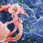 Nova Variante do HIV descoberta no Brasil