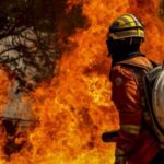 Plantações de cana-de-açúcar são arrasadas por incêndios em SP, causando prejuízo de R$ 350 milhões”