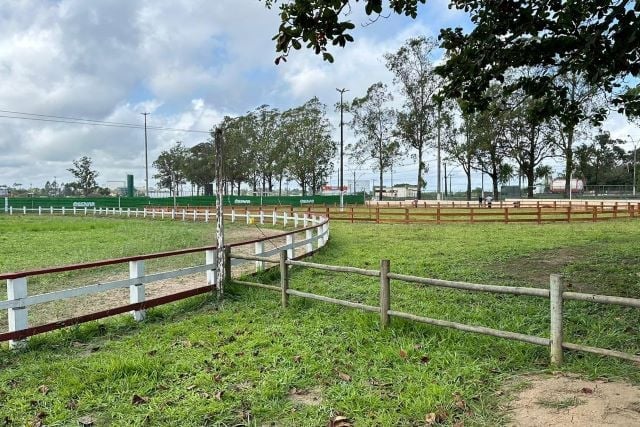 Expofeira 2024: Confira as atrações musicais do Caminho da Roça