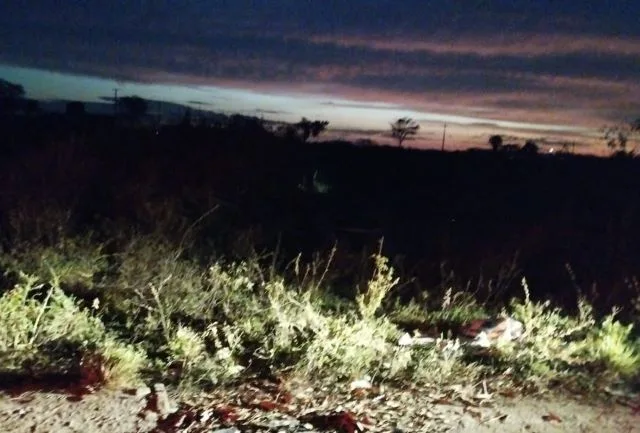 Ossada humana é encontrada em matagal