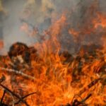 Amazônia já tem mais queimadas em 2024 do que em todo o ano passado