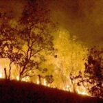 Número de queimadas em territórios indígenas aumentou 80% neste ano, diz pesquisa