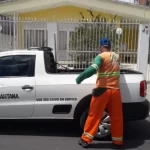 Decreto municipal impõe responsabilidade a estabelecimentos pela destinação de animais mortos em clínicas e pet shops