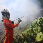Bombeiros reforçam combate e debelam 422 incêndios florestais na Bahia