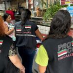 Procon fiscaliza floriculturas para o Dia de Finados