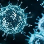 Surto de vírus mortal coloca OMS em alerta máximo