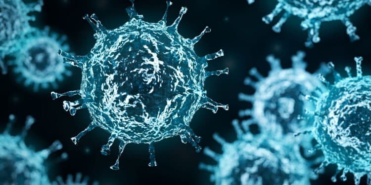 Surto de vírus mortal coloca OMS em alerta máximo