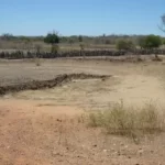 Prefeitura de Feira de Santana decreta situação de emergência devido à estiagem