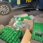 Adolescente de 16 anos é apreendido com 600 tubos de lança perfume em operação na BR-116