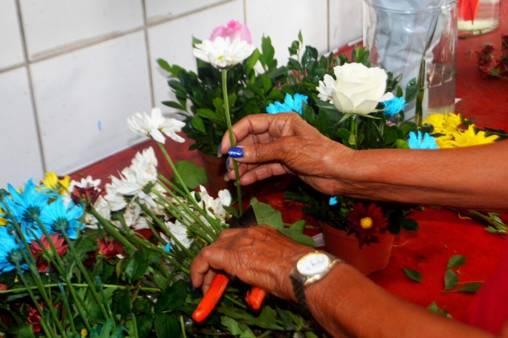 Dia de Finados impulsiona venda de flores