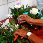 Dia de Finados impulsiona venda de flores