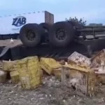 Homem morre após tombar carreta carregada de galinhas na BA-026