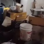 Trabalhadores em situação análoga à escravidão são resgatados em Salvador