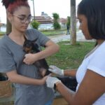 Prefeitura intensifica vacinação contra a raiva nos postos de saúde