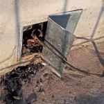 Furto de fios na iluminação pública acarreta em prejuízo de quase R$ 500 mil