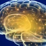 A mente astrológica: Como cada signo aborda a inteligência