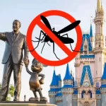 Por que não existem mosquitos na Disney?