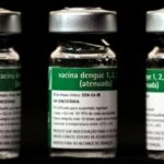 Instituto Butantan envia pedido de registro para vacina contra dengue