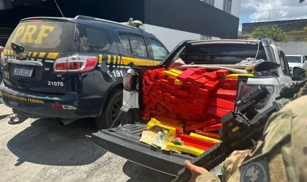 PRF apreende 500 quilos de maconha e prende motorista na BR-116