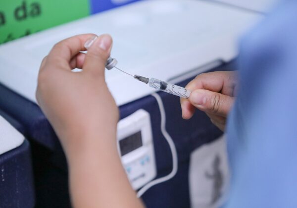 Dengue: Ministério da Saúde diz que não há previsão para vacinação em massa