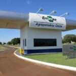 Sucesso nacional da agropecuária, Embrapa enfrenta rombos orçamentários; Entenda os desafios financeiros da empresa
