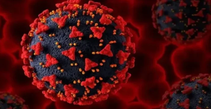 OMS monitora surto do vírus HMPV na China