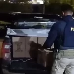 Mais de mil frascos de perfumes falsificados são apreendidos pela PRF na Bahia