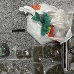 65ªCIPM apreende drogas no bairro Viveiros