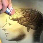 Cientistas acreditam ter descoberto a verdadeira causa do Alzheimer