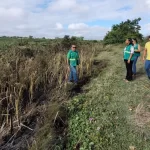 Semmam visita Lagoa de Berreca após incêndio e inicia investigação
