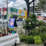 Feira na Avenida: tradição, variedade e atração para toda a família
