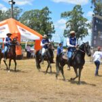 Feira de Santana sedia a 2ª Copa de Marcha de Mangalarga Marchador