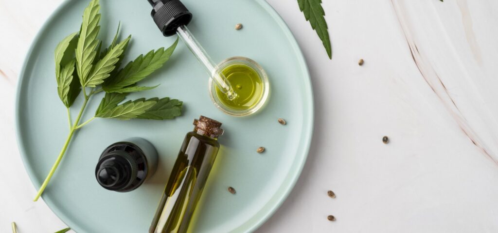 Cannabis no Brasil: Anvisa abre consulta para regulamentação