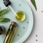 Cannabis no Brasil: Anvisa abre consulta para regulamentação